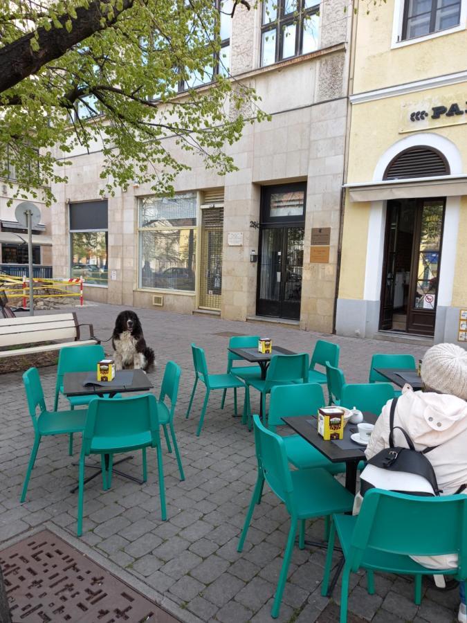 Ferienwohnung Aha Debrecen Exterior foto